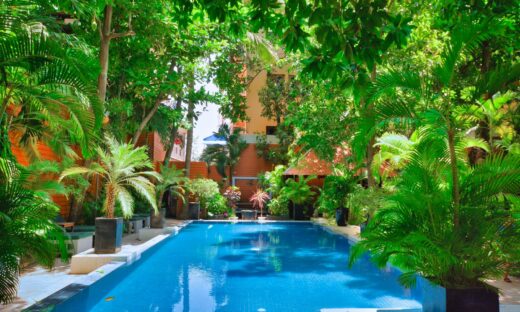 a swimming pool surrounded by trees and plants